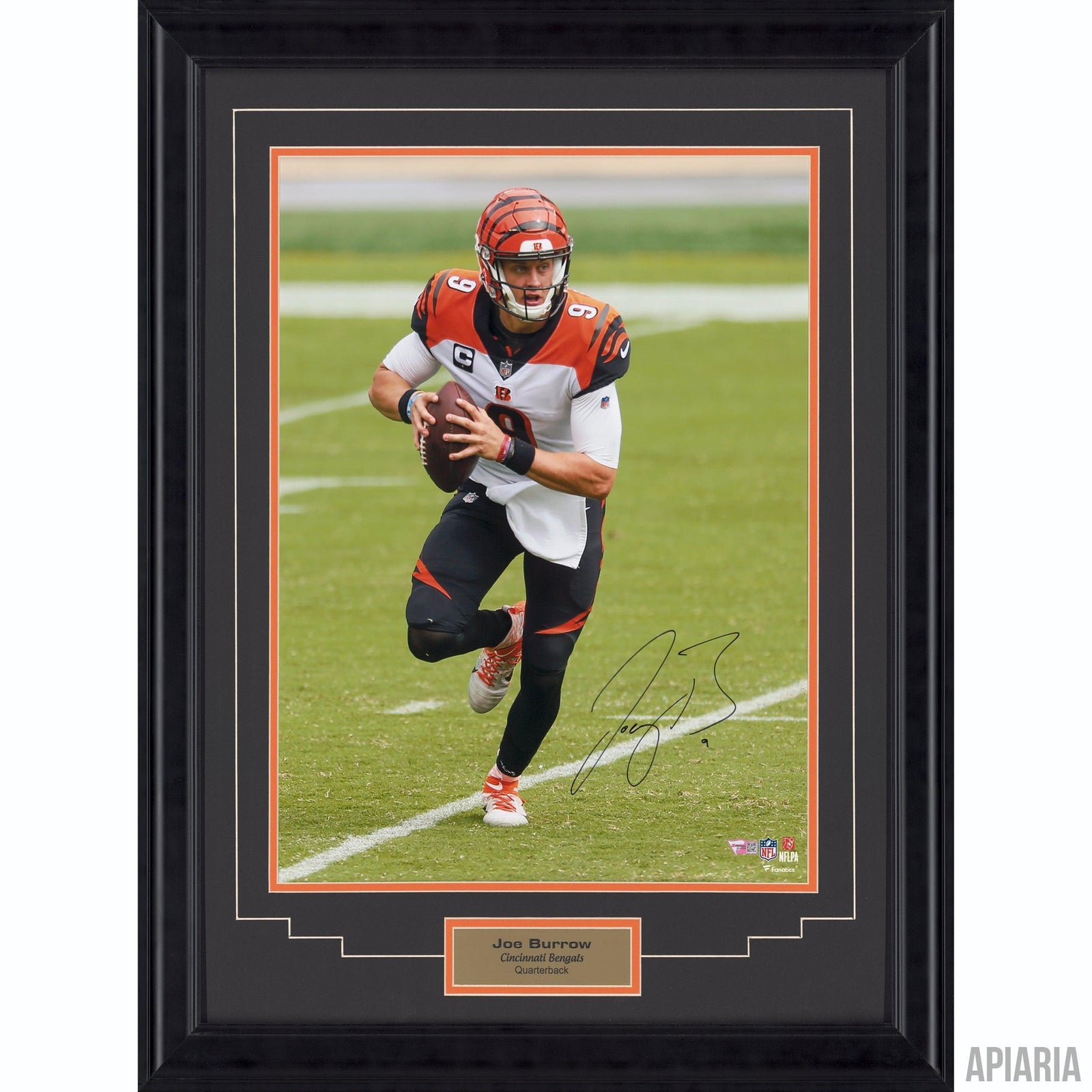 Aaron Donald Framed Autographed Photo - Apiaria